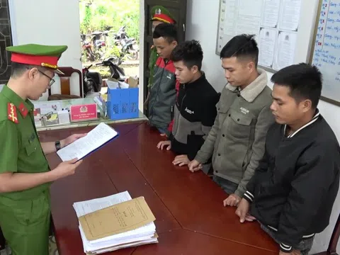 Huế: Bắt giam 4 đối tượng cưa trộm cây đem bán kiếm tiền tiêu xài