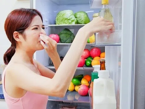 Cách khử mùi hôi tủ lạnh hiệu quả, tiết kiệm tại nhà