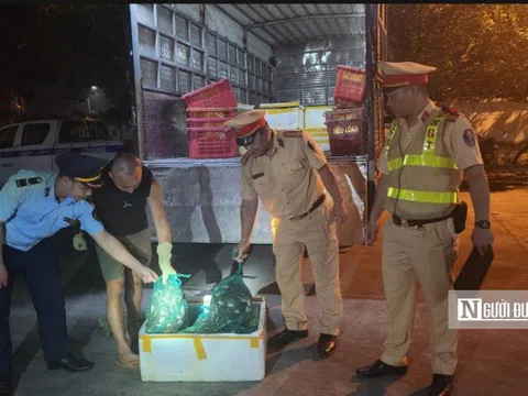 Quảng Ninh: Phát hiện gần 1 tấn cua không rõ nguồn gốc