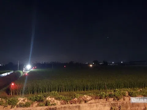 Hải Phòng: Chỉ đạo xử lý nghiêm dùng điện diệt chuột trong sản xuất