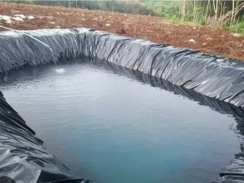 Bé 3 tuổi rơi xuống hồ chứa nước tưới sầu riêng, tử vong thương tâm