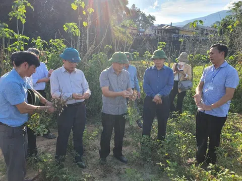 Điện Biên: Nâng cao nhận thức, trách nhiệm của cả hệ thống chính trị về giảm nghèo bền vững giai đoạn 2021-2025