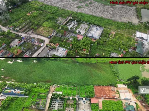 Hà Nội: UBND xã Kim Chung nhận trách nhiệm vụ đất công bị lấn chiếm