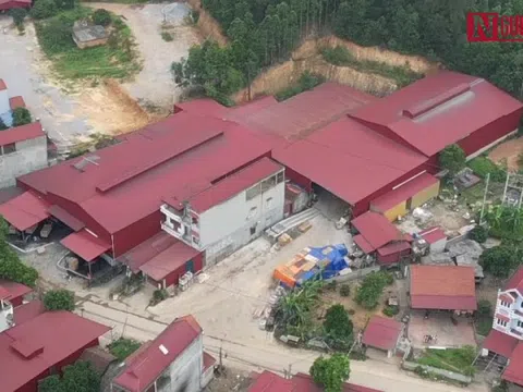 Bắc Giang: Một người tử vong do tai nạn lao động tại xưởng sản xuất gỗ