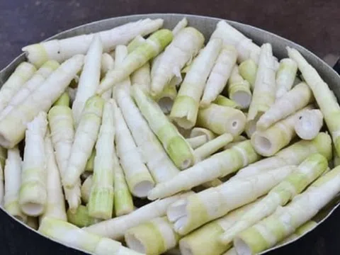 Cách loại bỏ độc tố trong măng tươi nhất định bà nội trợ phải biết