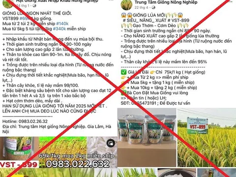 Bán thóc giống VST-899 giả trên mạng xã hội, 7 đối tượng bị khởi tố