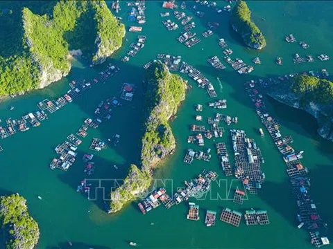 Vịnh Hạ Long - Quần đảo Cát Bà được công nhận là Di sản Địa chất quốc tế