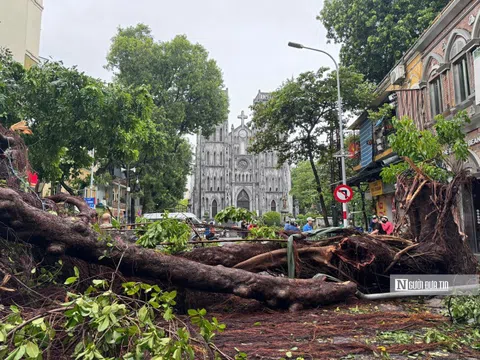 Đường phố tan hoang, Hà Nội tất bật dọn dẹp sau bão