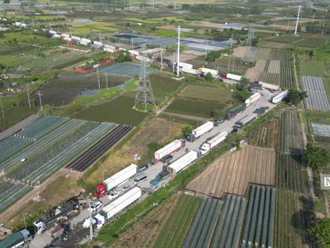 Hà Nội: “Chiếm” đường giao thông lập chợ đầu mối trái phép tại huyện Mê Linh