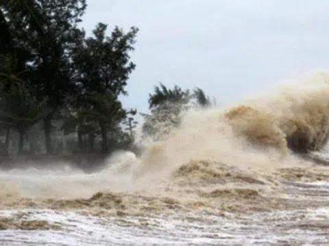 Khẩn cấp ứng phó với bão số 6 sắp vào Biển Đông