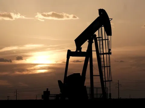 Giá xăng dầu hôm nay 13/11: Dự báo xăng dầu trong nước sẽ tiếp tục giảm