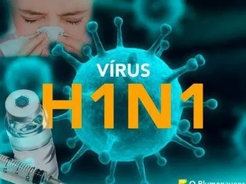 Bình Định ghi nhận 4 ca tử vong do cúm A(H1N1)pdm, Bộ Y tế đề nghị xử lý triệt để, hạn chế lây lan diện rộng