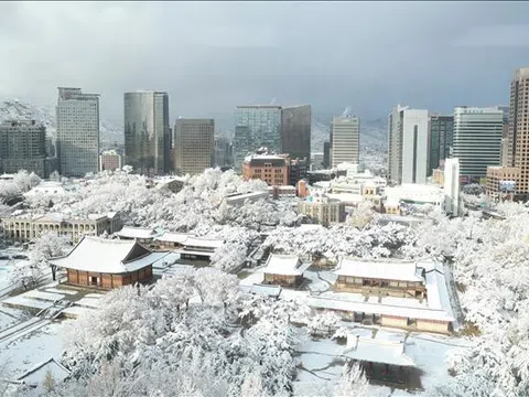 Hàn Quốc chống chọi với bão tuyết, ít nhất 5 người tử vong