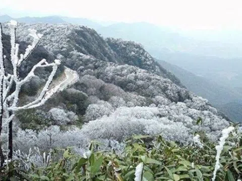 Ngày mai (12/12), miền Bắc mưa rét cỡ nào?