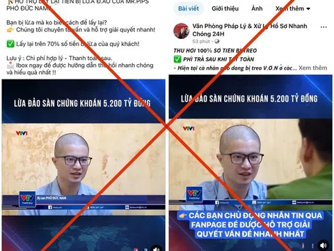 Xuất hiện chiêu lừa "giúp lấy lại tiền" trong vụ lừa đảo của Mr. Pips