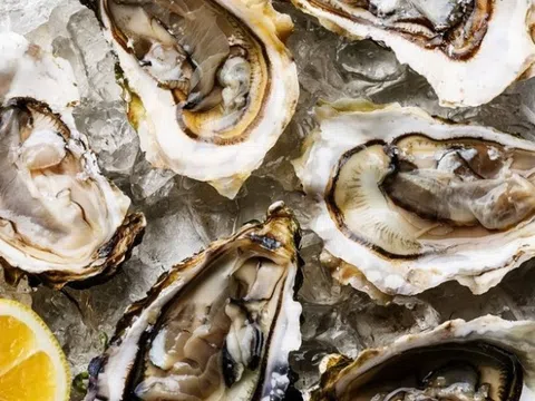 Bí quyết sống lâu có thể được tìm thấy ở nghêu, hàu?