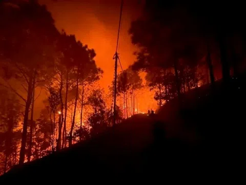 Cháy rừng trong đêm ở Quảng Ninh, huy động 300 người khẩn trương dập lửa