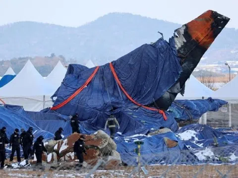 Vụ tai nạn máy bay chở 181 người ở Hàn Quốc: Phát hiện chi tiết mấu chốt trong động cơ