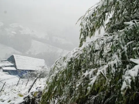 Miền Bắc đón không khí lạnh rất mạnh trước Tết, đề phòng băng giá và sương muối