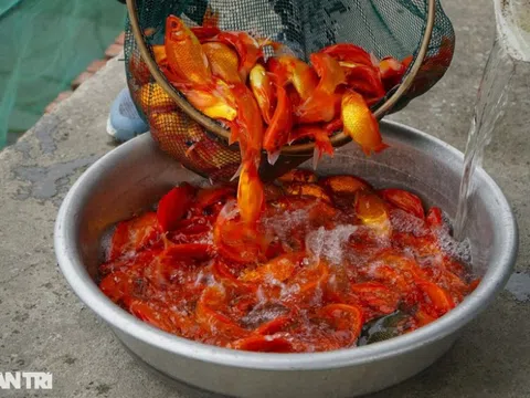 Làng sản xuất "xe đưa" ông Công, ông Táo về trời tất bật dịp cuối năm