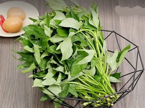 Loại rau được ví như "thần dược", ở Việt Nam nhiều vô kể