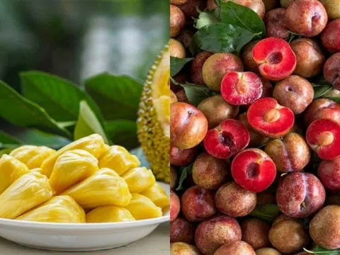 Vì sao nhiều người bị nổi mụn khi ăn mận, vải, mít xoài?