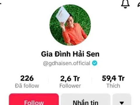 Bắt chủ kênh TikTok “Gia đình Hải Sen” vì nghi buôn bán hàng giả