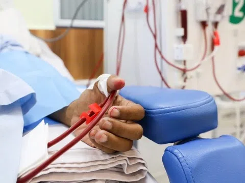 Khám tiền hôn nhân, cô gái trẻ ở Hà Nội phát hiện suy thận, cần lọc máu chu kỳ suốt đời