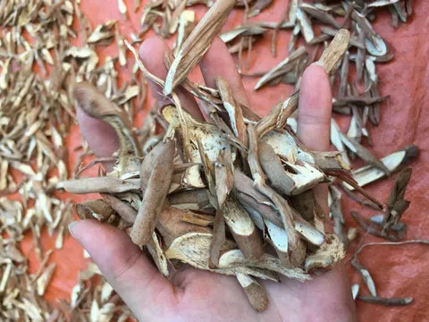 Nghịch lý doanh nghiệp vừa được chấp thuận đầu tư đã bị 'khai tử'