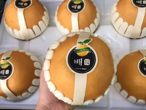 Thâm hụt thương mại với thị trường Hàn Quốc lên đến 24 tỉ USD