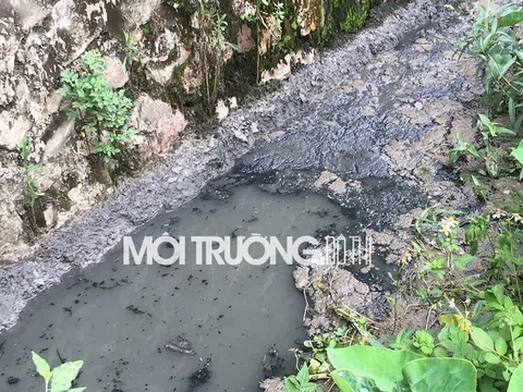 Hòa Bình: Công ty CP giấy và bao bì Đông Đô xả thải ra môi trường