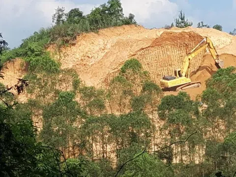 'Đại công trường' ngang nhiên san ủi đất rừng trái phép ở Lạng Sơn