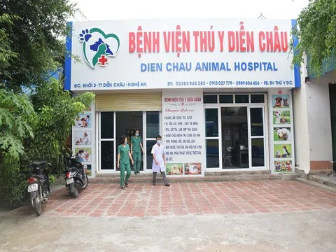 Địa chỉ chăm sóc, làm đẹp tin cậy cho 'thú cưng' ở Nghệ An