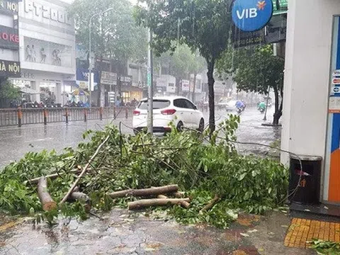 Hứng chịu bão số 9, Sài Gòn cây bật gốc, đường phố thành sông
