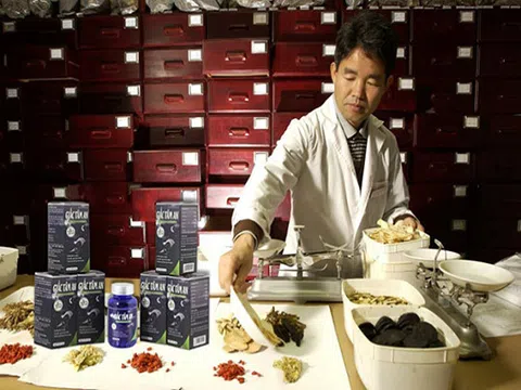 Giấc tâm an – dược liệu 'vàng' phục hồi ngàn giấc ngủ