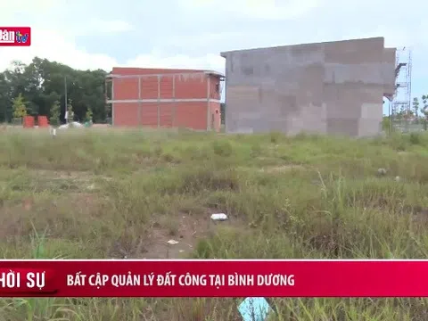 Những bất cập quản lý đất công tại Bình Dương