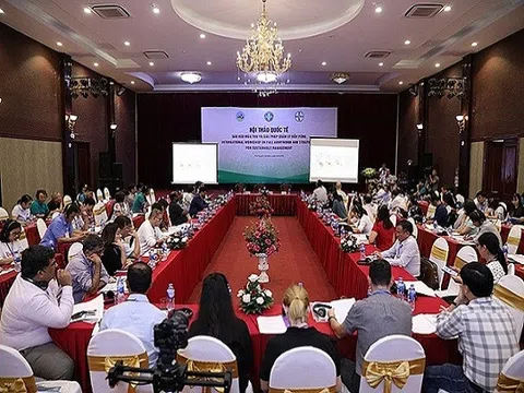 Vấn đề thiếu hụt vi chất ở trẻ và lời khuyên từ các chuyên gia