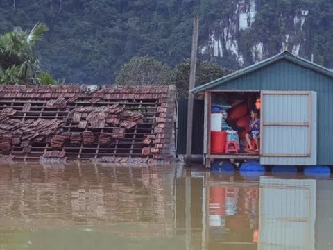 Những căn nhà ‘biết bơi’ giúp người dân vùng lũ Quảng Bình