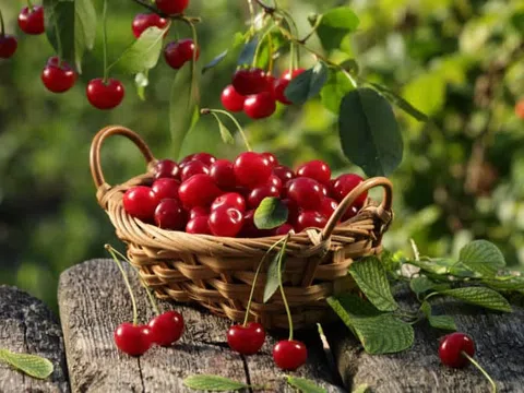 Lưu ý cách ăn quả cherry an toàn