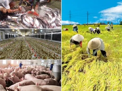 Đối tác công-tư nông nghiệp xu thế nổi bật ở một số nước trên thế giới