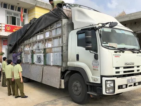 Quảng Bình: Thu giữ nhiều đồ điện gia dụng nhập lậu không rõ nguồn gốc, xuất xứ