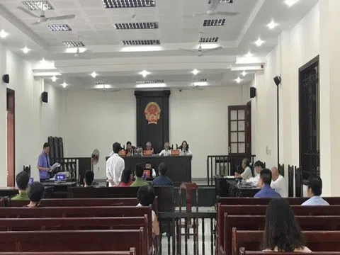 Đồng Nai: 200 người dân 'khốn đốn' vì tài sản đảm bảo thi hành án bị bán đấu giá