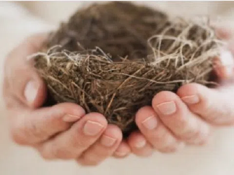 Bố mẹ mắc hội chứng “Tổ rỗng”khi con xa nhà