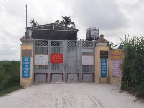 Hải Phòng: Trang trại lợn gây ô nhiễm sông Đa Độ, ảnh hưởng cuộc sống người dân