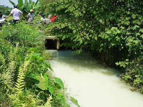 Tìm ra doanh nghiệp xả nước vàng đục, có mùi thuốc sâu ra kênh