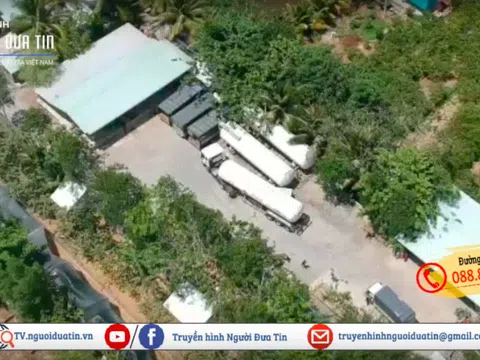 Phạm pháp liên tục, sao không khởi tố?