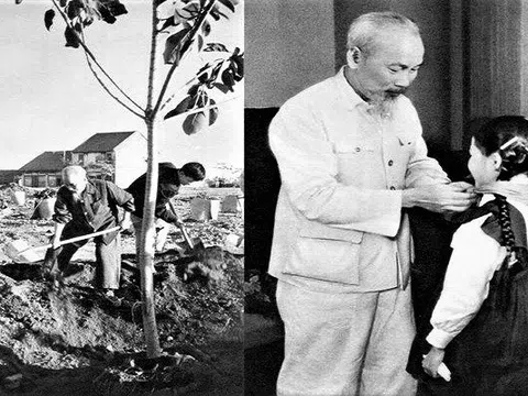 Bác Hồ với sự nghiệp Trồng cây và Trồng người