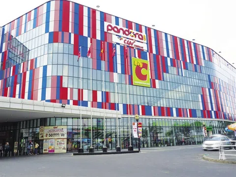 Ngoài Big C, Central Group còn thâu tóm gì tại Việt Nam?