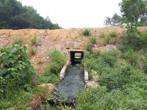 Trang trại lợn của Công ty Japfa Việt Nam gây ô nhiễm, 'bức tử' người dân?