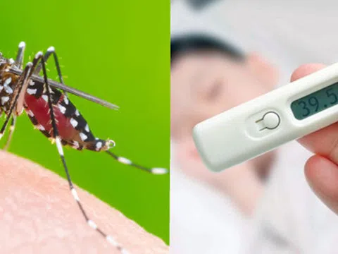 Những điều có thể bạn chưa biết về sốt xuất huyết Dengue